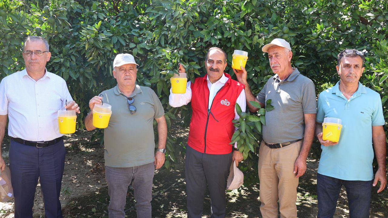 Ege İhracatçı Birlikleri Üreticilere Akdeniz Meyve Sineği Tuzağı Dağıttı
