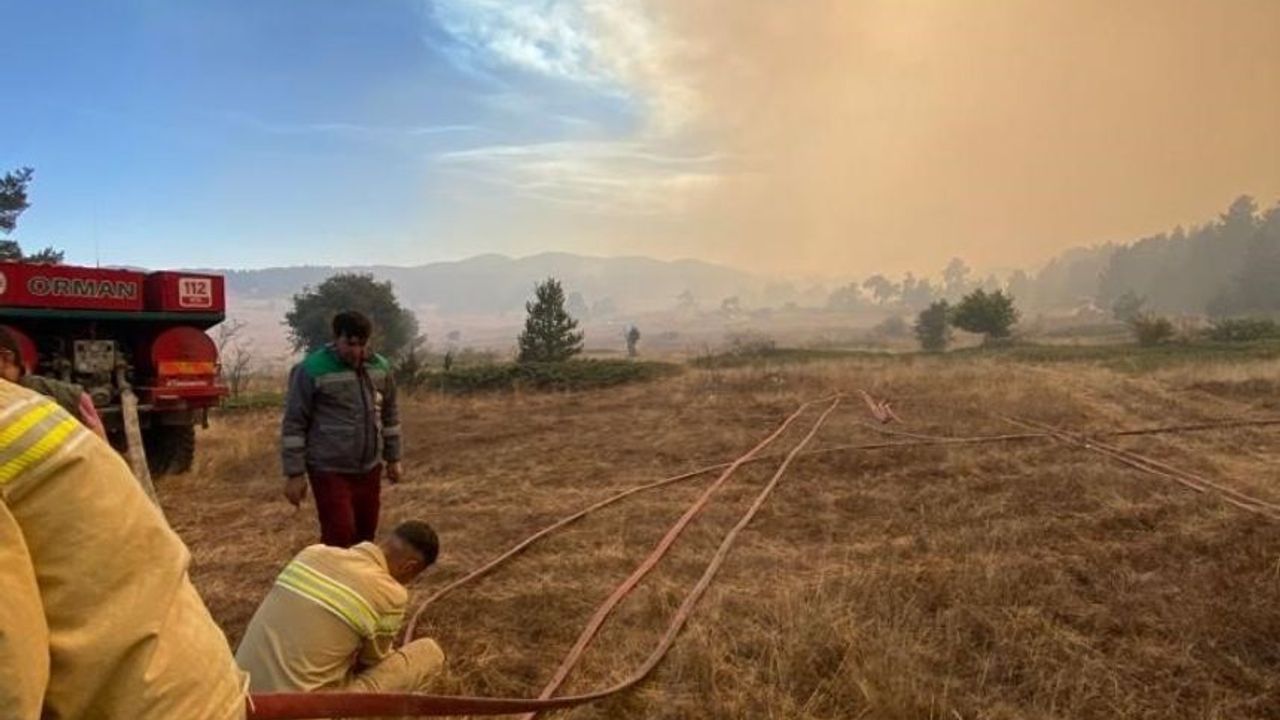 Bolu-Ankara sınırında yangın çıktı