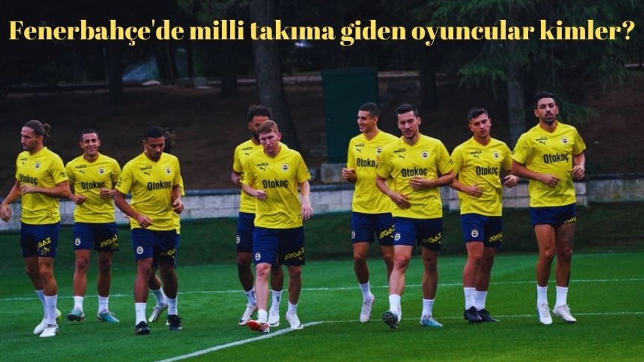 Fenerbahçe'de milli takıma giden oyuncular kimler?