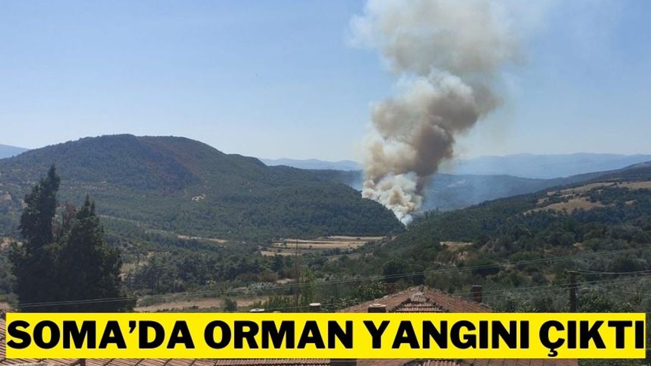 Soma'da ormanlık alanda  yangın çıktı