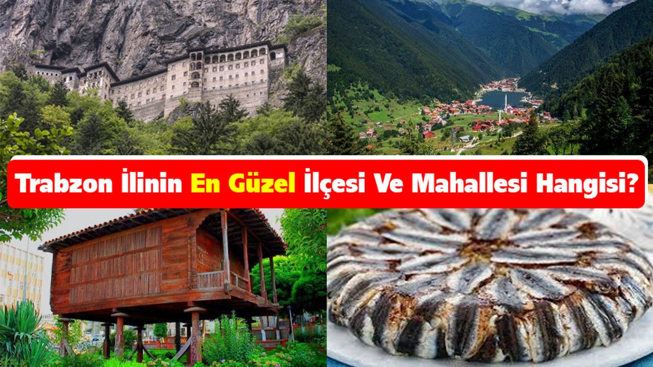 Trabzon ilinin en güzel ilçesi ve mahallesi hangisi?