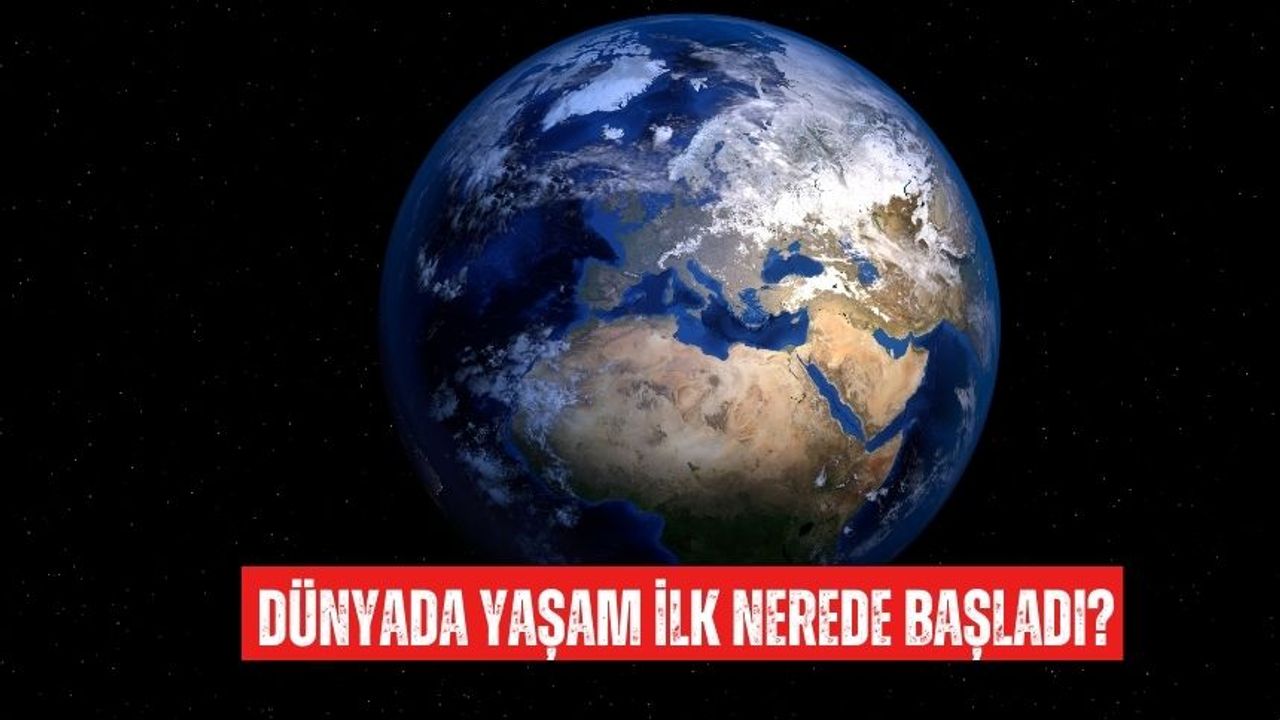 Dünyada ilk yaşam nerede başladı? Dünyada ilk yaşam Türkiye'de mi başladı?