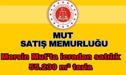 Mersin Mut'ta icradan satılık 55.239 m² tarla