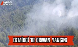 Demirci'de orman yangını