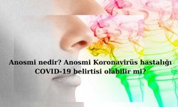 Anosmi nedir? Anosmi Koronavirüs hastalığı COVID-19 belirtisi olabilir mi?