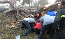 Çanakkale yangınında kurtarma ekibinin korku dolu anları: üzerine ağaç devrildi