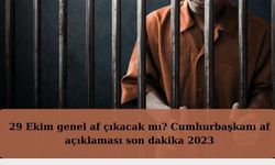 Will there be amnesty on October 29?  Presidential pardon announced at the last minute 2023
