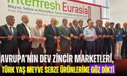 Avrupa’nın dev zincir marketleri, Türk yaş meyve sebze ürünlerine göz dikti