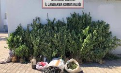 Jandarma, Tekirdağ’da Uyuşturucu Üretimine Darbe Vurdu