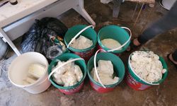 Peynir imalathanesinde korkunç manzara: Zabıta ekipleri şoke oldu
