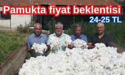 Pamuk üreticisi 24-25 TL fiyat istiyor