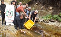 Trabzon Karadere’ye doğal alabalık yavruları bırakıldı