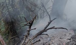 Artvin'de yıldırım orman yangınına neden oldu