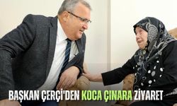 Başkan Çerçi'den koca çınara ziyaret