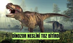 Sadece toz koca dinozor neslini yok edebilir mi?