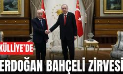 Cumhurbaşkanı Erdoğan MHP Lideri Bahçeli ile görüştü