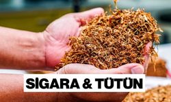 Sigaranın yapıldığı bitki nedir? Tütün neyin hammaddesi?
