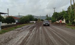 Aydın'da sağanak yağış felakete dönüştü