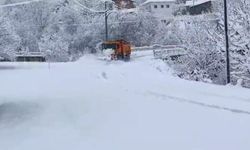 Artvin'de etkili olan kar yağışı 63 köy yolunu ulaşıma kapattı