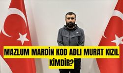 PKK'nın sözde sorumlularından Mazlum Mardin kod adlı Murat Kızıl kimdir?