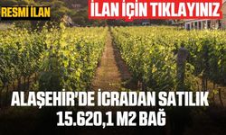 Alaşehir'de icradan satılık 15.620,1 m2 bağ