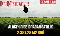 Alaşehir'de icradan satılık 2.387,28 m2 bağ