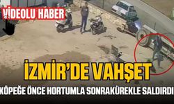 İzmir'de vahşet: Köpeğe acımasızca saldırdı