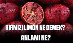 Kırmızı limon ne demek? Anlamı ne?