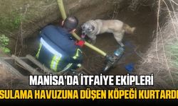 Manisa'da  İtfaiye Ekipleri Sulama Havuzuna Düşen Köpeği Kurtardı