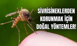 Sivrisinek gelmemesi için vücuda doğal ne sürülür? Sivri sinekler hangi kokuyu sevmez?