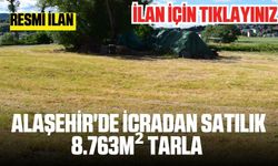 Alaşehir'de icradan satılık  8.763m² tarla