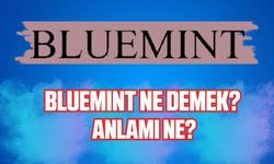 Bluemint ne demek? Bluemint anlamı nedir?