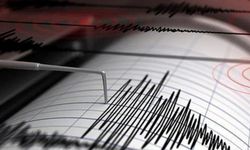 Erzincan'da 4.1 şiddetinde korkutan deprem!