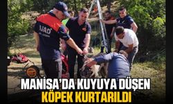 Manisa'da Kuyuya Düşen Köpek Kurtarıldı