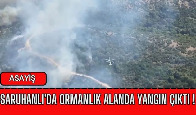 Manisa Saruhanlı'da orman yangını!  Yangına havadan ve karadan müdahale ediliyor