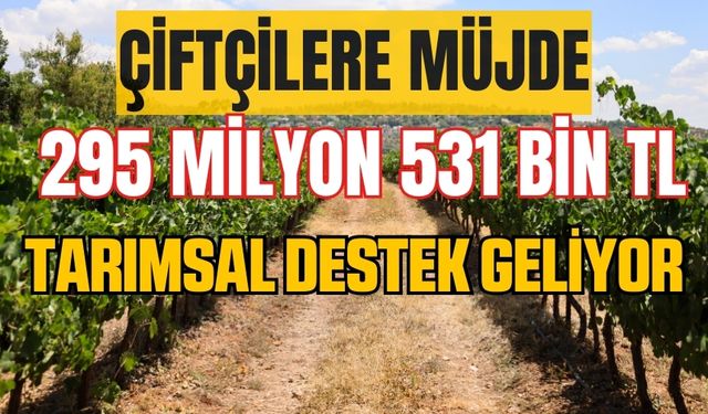 Çiftçilere müjde! 295 milyon 531 bin lira tarımsal destekleme hesaplara yatacak!