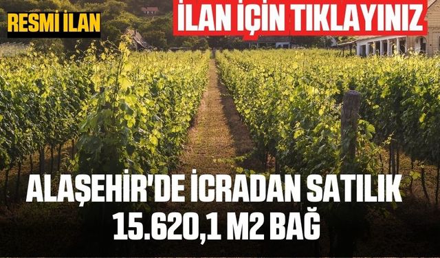 Alaşehir'de icradan satılık 15.620,1 m2 bağ