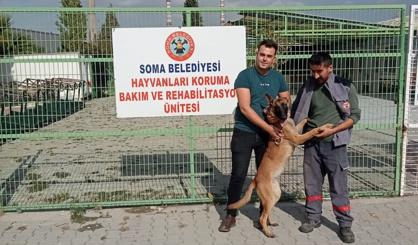 Soma Belediyesi sayesinde kaybolan köpek sahibine kavuştu