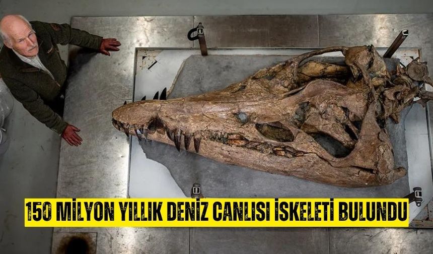 Bilim adamları 150 milyon yıllık deniz canlısı iskeleti buldu