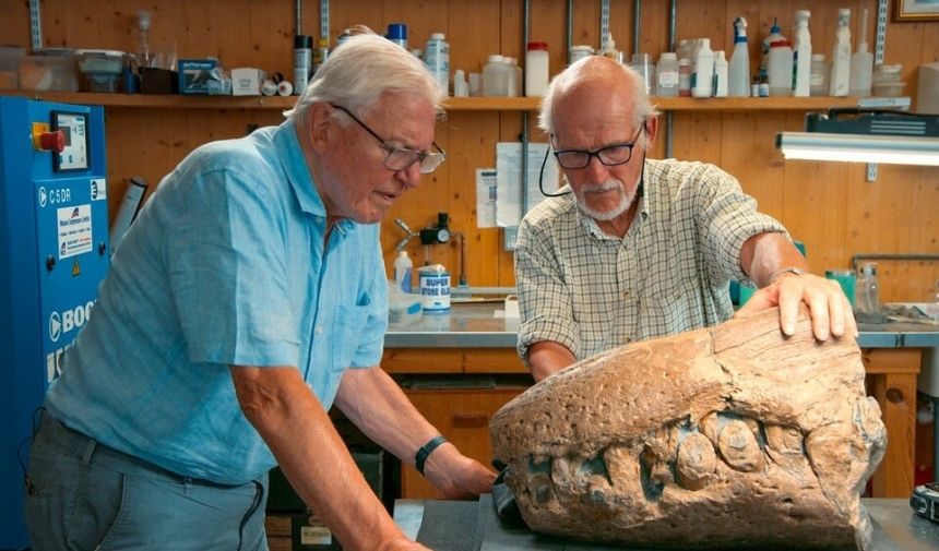 Bilim Adamları 150 Milyon Yıllık Deniz Canlısı Iskeleti Buldu