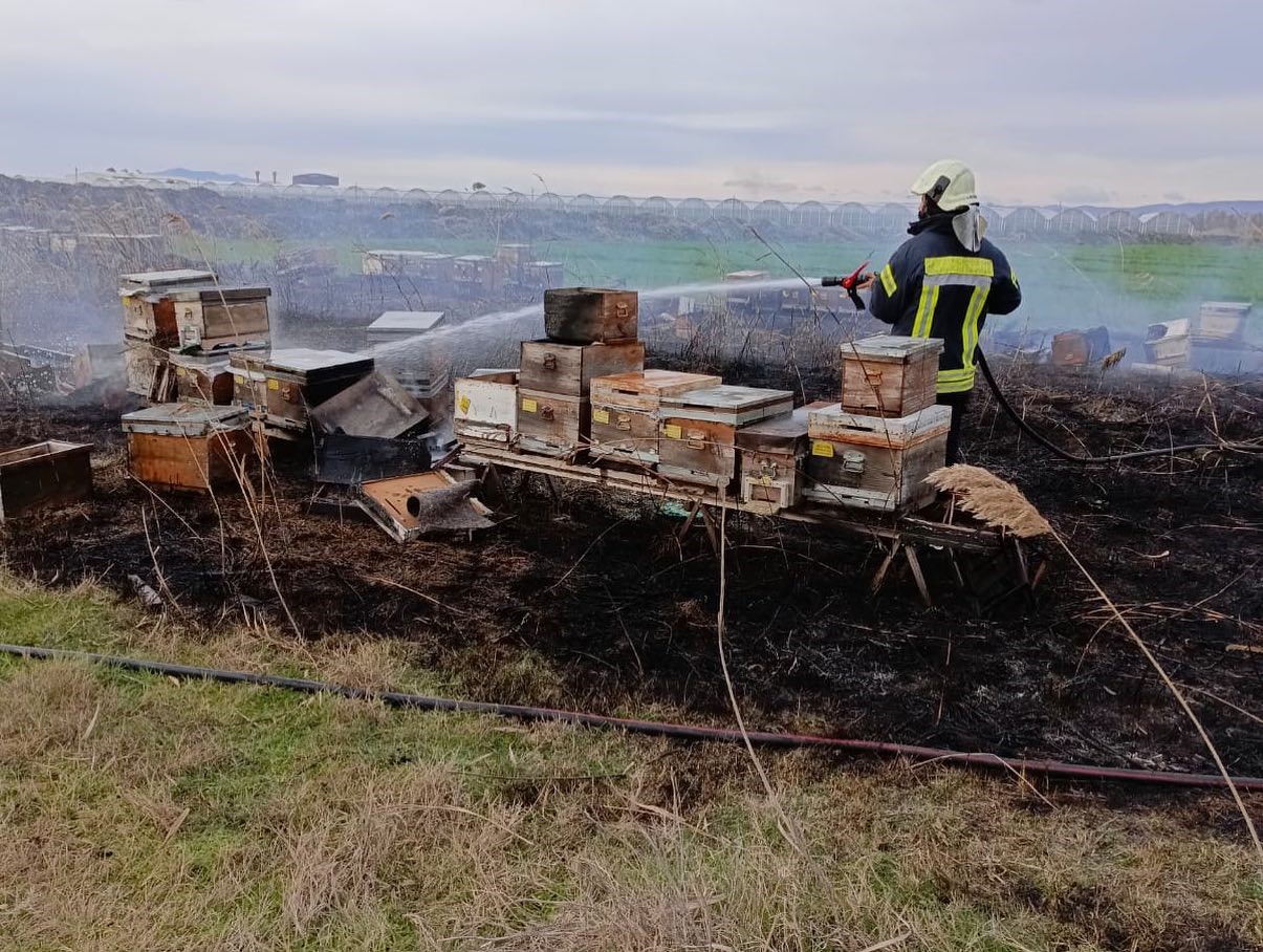 Salihli'de arı kovanları yangın binlerce arı telef oldu!