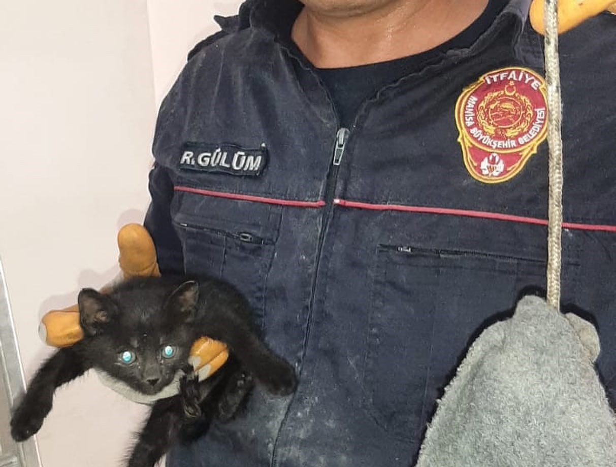 Akhisar'da İtfaiye Ekipleri Pis Su Borusundaki Kediyi Kurtardı-1
